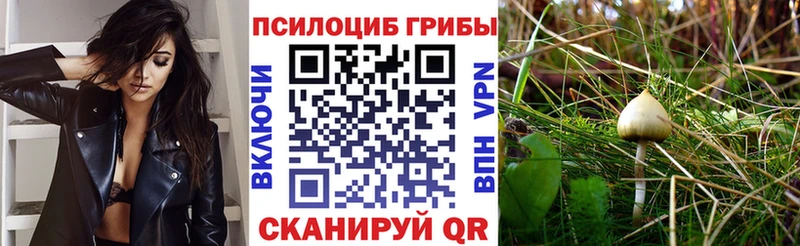 Псилоцибиновые грибы прущие грибы  Гудермес 